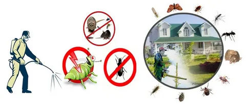 Pest prevention tips